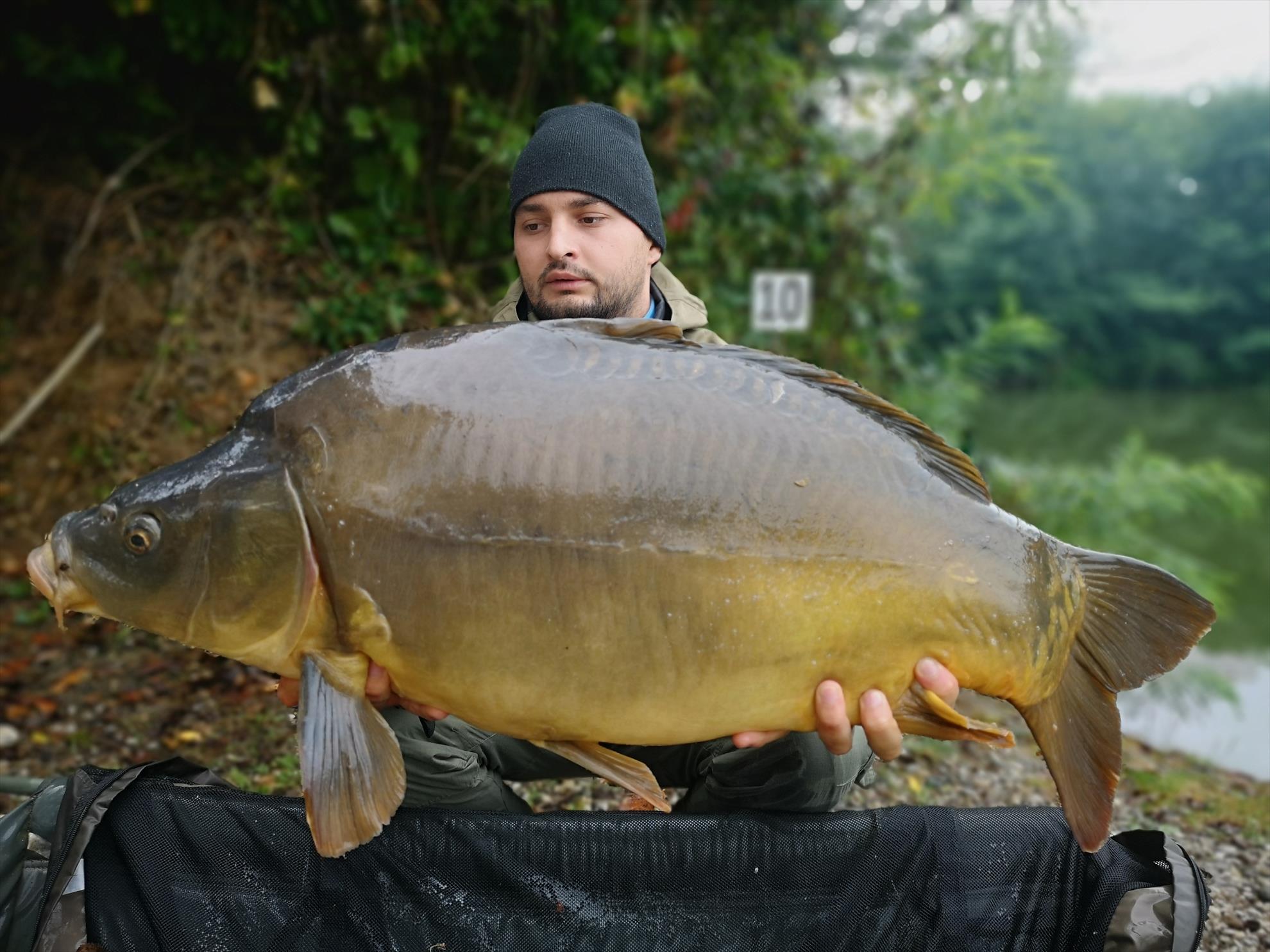 Jezero Žabar - img20190907105542.jpg
